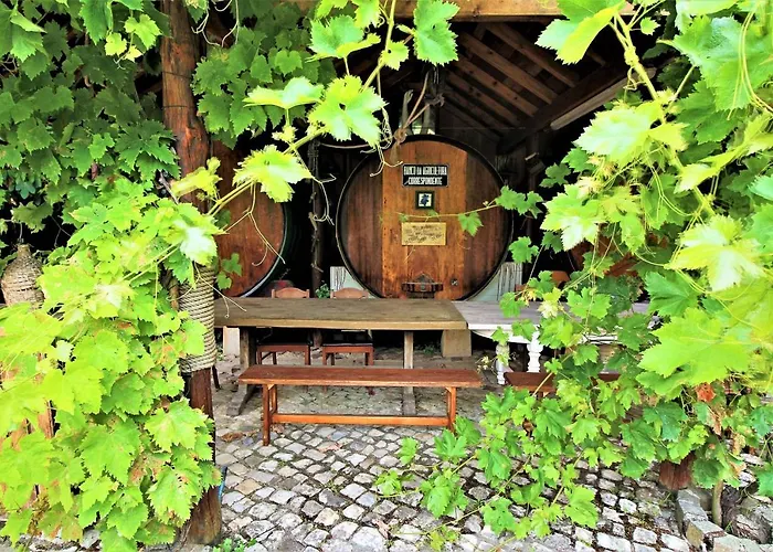 Villa Ana Margarida By Nature